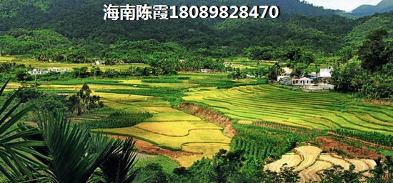 泺海蝶泉湾二手房现在能不能买